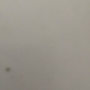 Meet your Posher, Walter